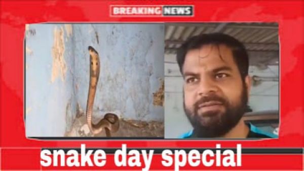 20 साल, ढाई लाख सांपों का रेस्क्यू, कोरबा के अविनाश यादव का सांपों से प्रेम