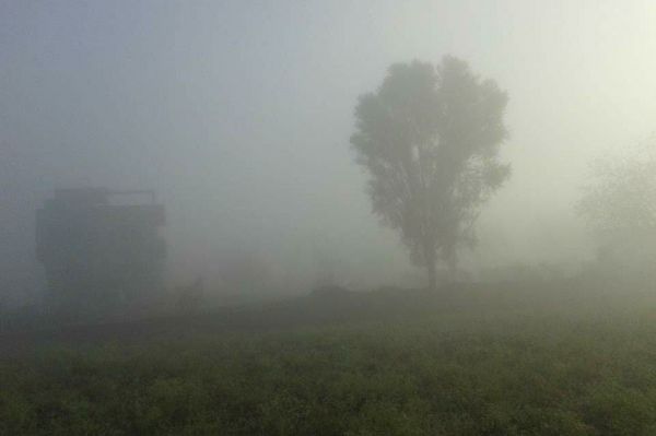 कोहरे व धुंध के दौरान सड़क सुरक्षा को लेकर पुलिस अधीक्षक भोजराम पटेल ने जारी की एडवाइजरी  नागरिकों व वाहन चालकों से सतर्कता बरतने की अपील