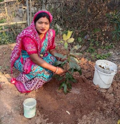&ldquo;बिहान योजना बनी महिलाओं की पहचान, संतोषी रात्रे के नेतृत्व में बुदेली क्लस्टर में हरियाली का संकल्प&rdquo;